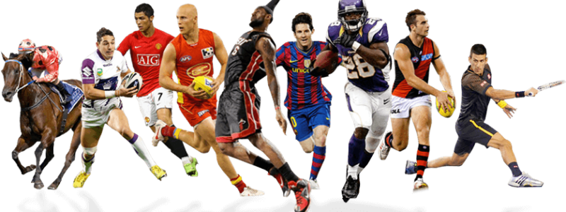 all-sports-banner all-sports-banner