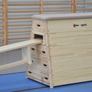 Võimlemiskast Coma Sport kunstnahaga