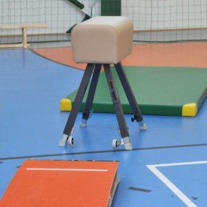 Võimlemiskits Coma Sport kunstnahk 90-140cm
