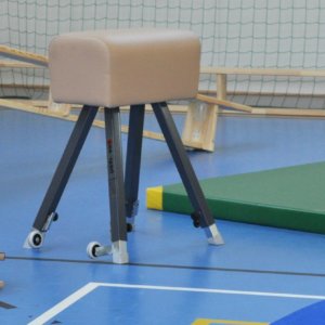 Võimlemiskits Coma Sport kunstnahk 90-140cm