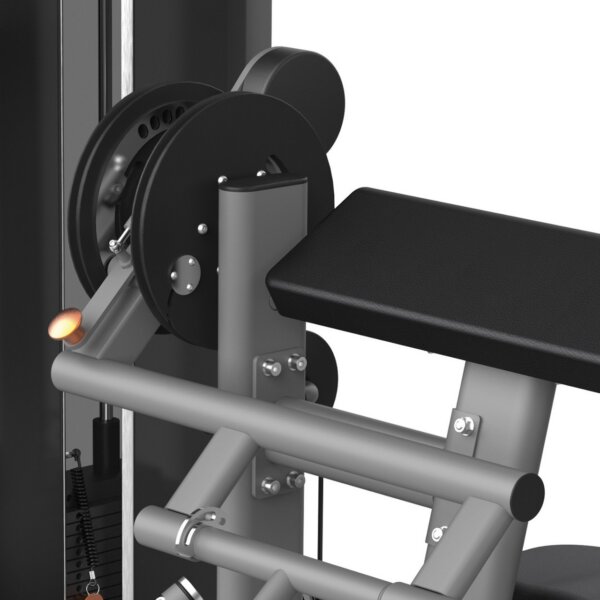 Biitsepsi- triitsepsipink Toorx-PLX7700