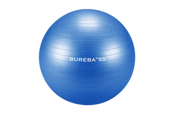 Fitpall Trendy Bureba Professional 55-75cm