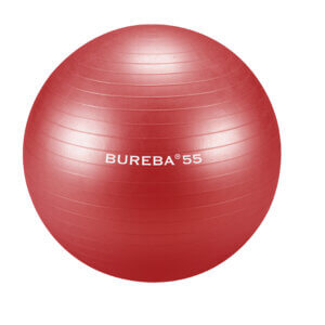 Fitpall Trendy Bureba Professional 55-75cm