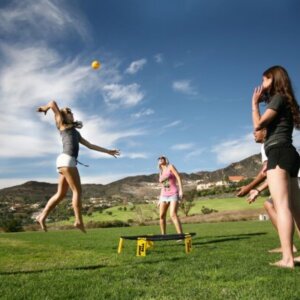 Spikeball Standard