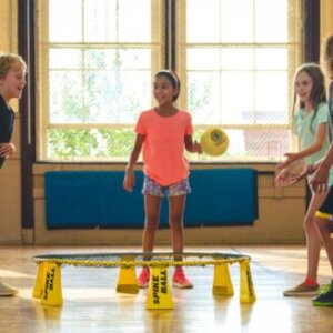 Spikeball Rookie