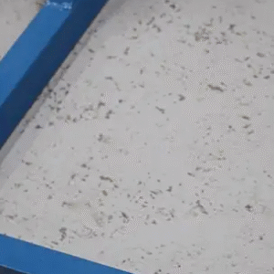 Sulgpallipostid vabaltseisvad 20kg Jim Sports