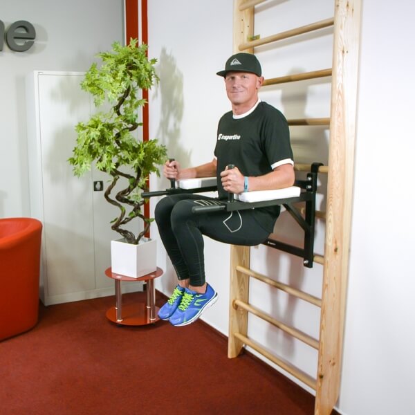 Treeningseade varbseinale Dip Station Insportline LCR-11114B