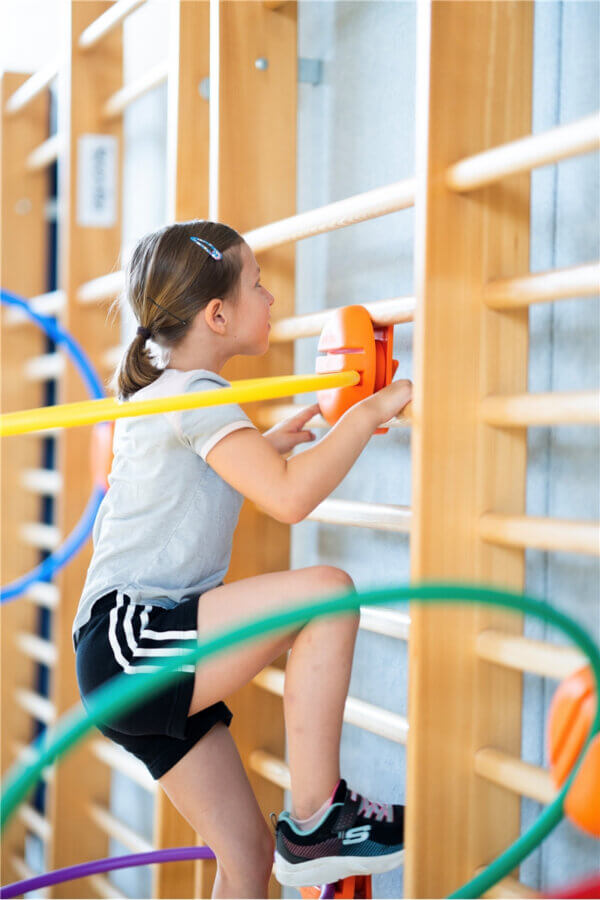 Rõngaste hoidja varbseinale 4tk Megaform