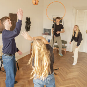 Osavusmäng Pitjau Classic Set