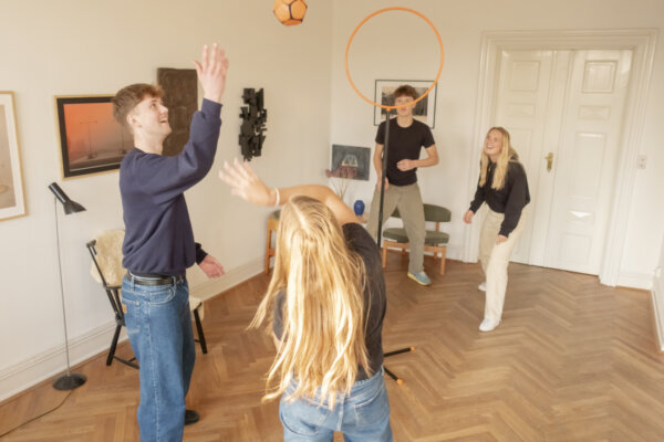 Osavusmäng Pitjau Classic Set