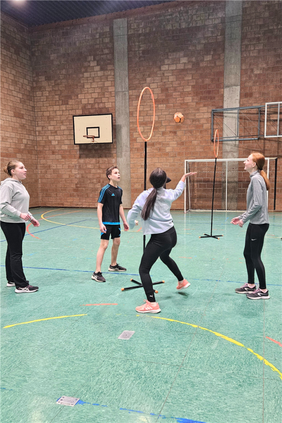 Osavusmäng Pitjau Classic Set