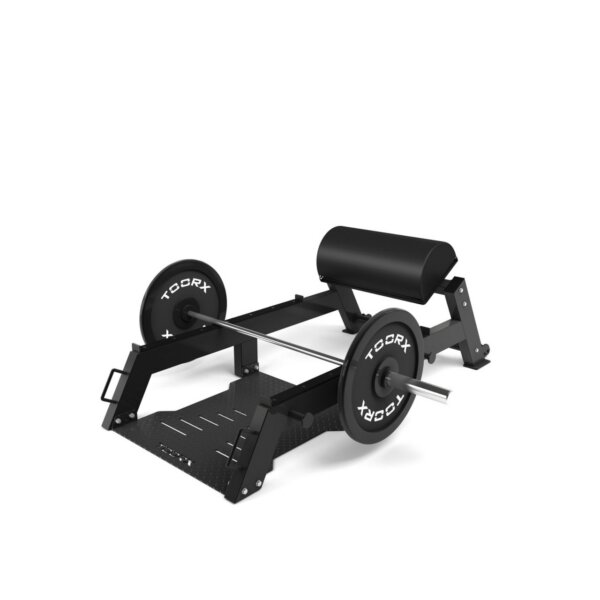 Puusapink Toorx WBX-240