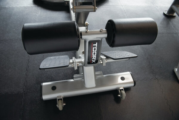 Seljapink Toorx WBX-2600