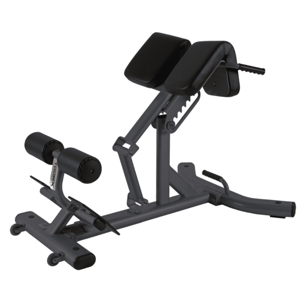 Seljapink Toorx WBX-2600